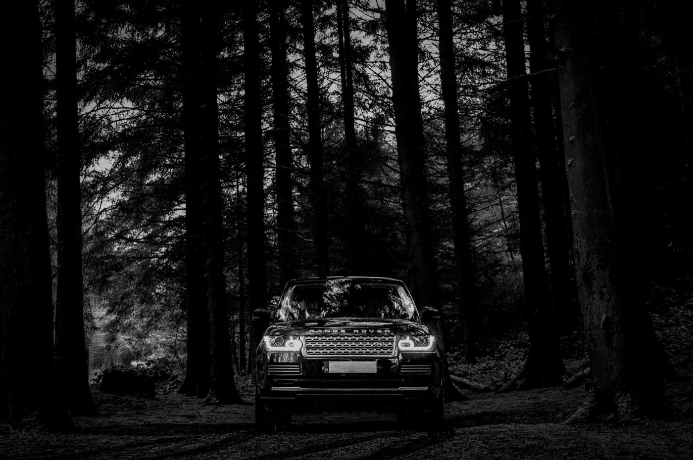 Range Rover in a dark forest