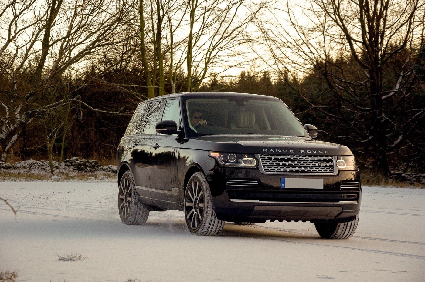 Black Range Rover parked among bare winter trees