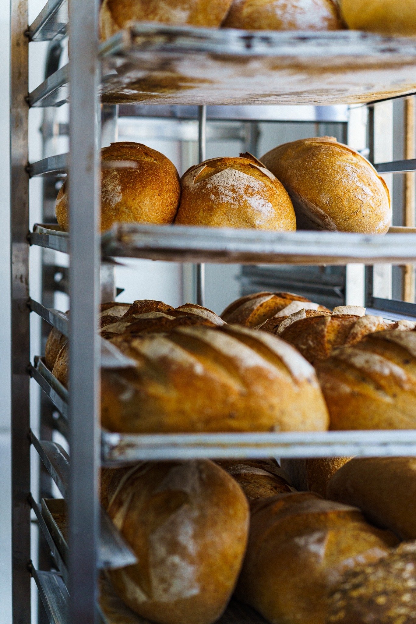Shelves of fresh bread at a craft bakery