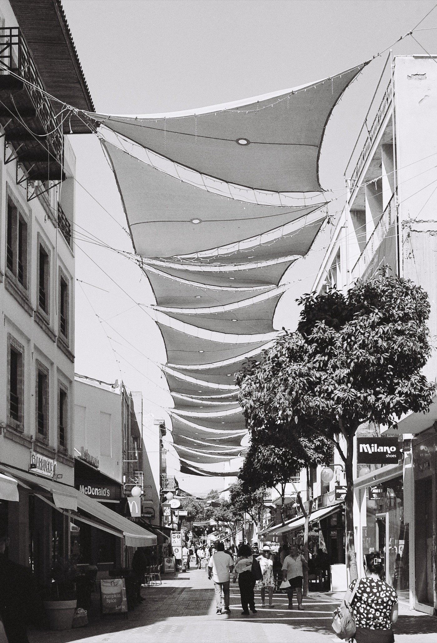 Black-and-white street with shade canopies