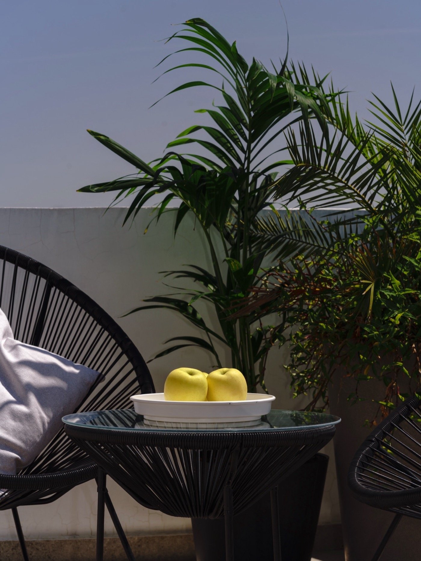 Terrace with a palm, a string chair and a bowl of green apples